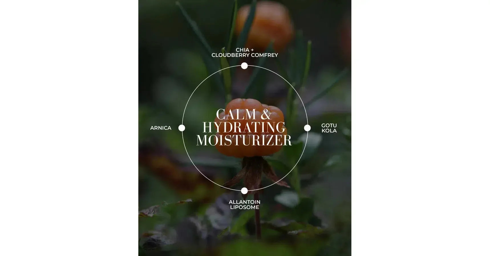 TESTER Fitglow Cloud Comfort Cream (50ml)