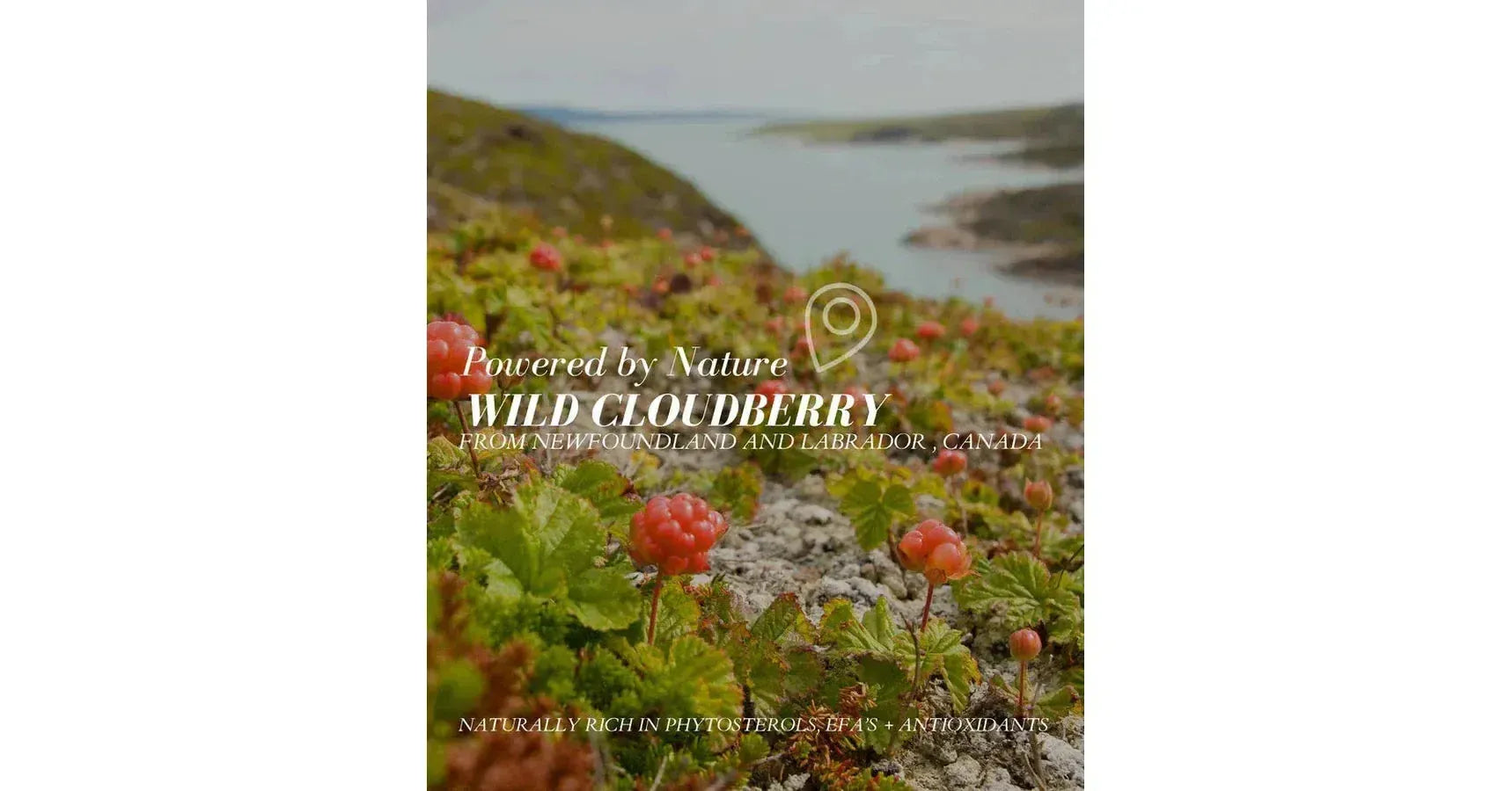 Fitglow Cloud Ceramide Body Cream (250ml)