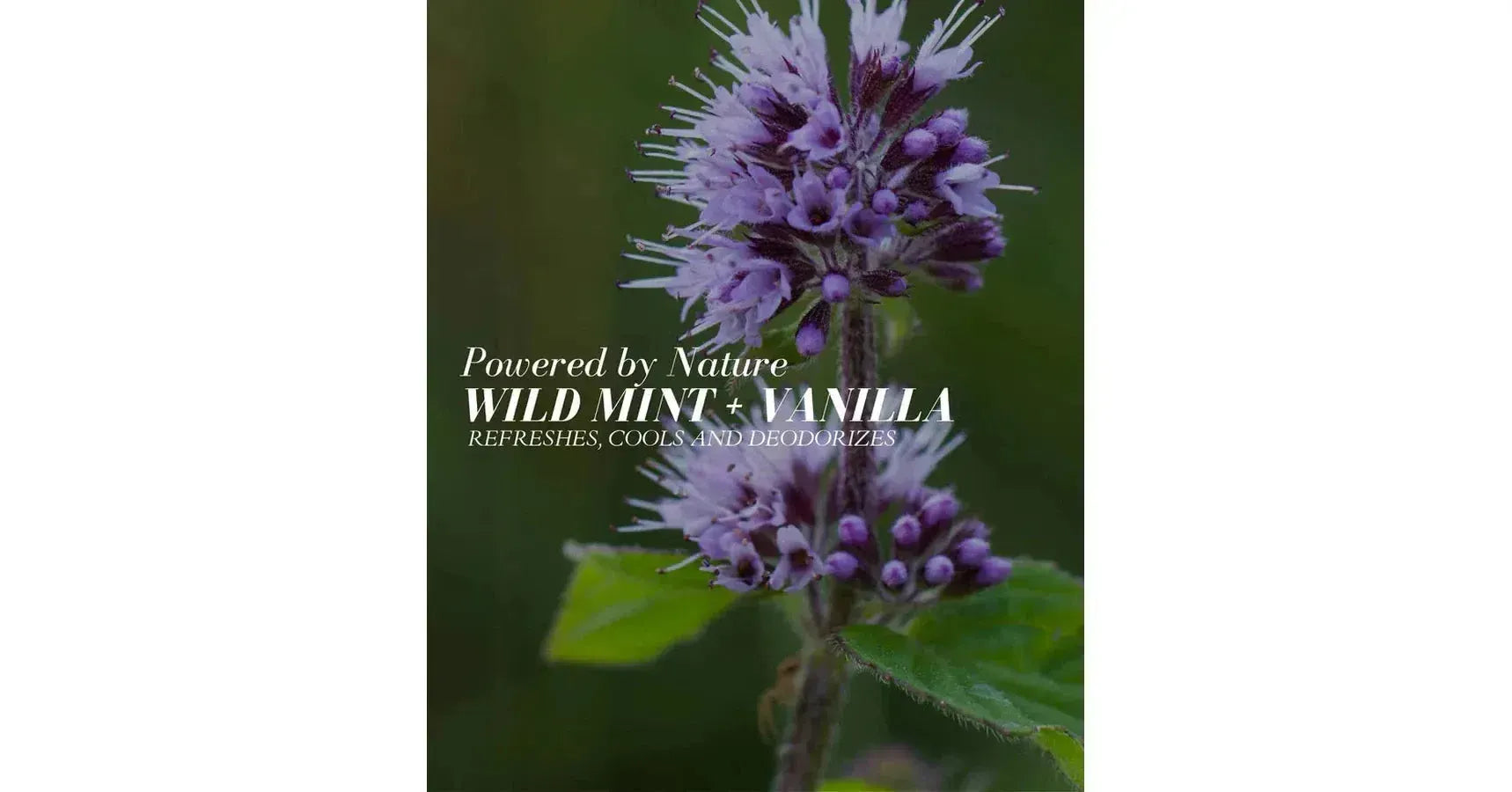 Fitglow Deodorant Spray (50ml)