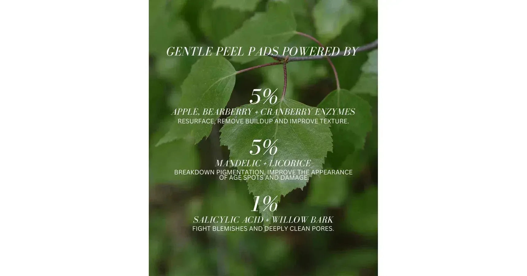 Fitglow Plant Active Peel Pads (50/pk)
