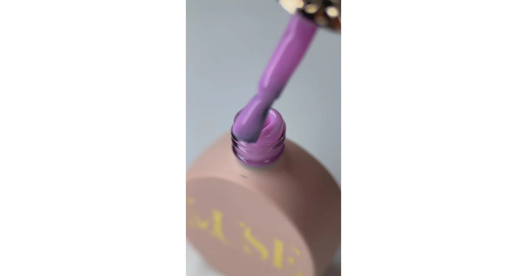 Muse Color Creator Base #45