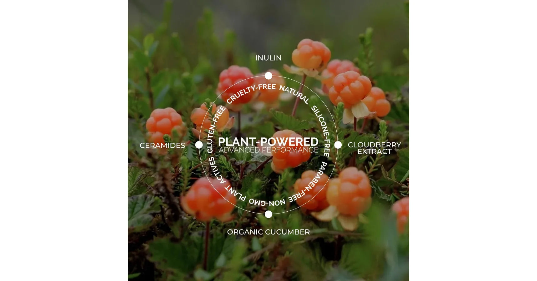 Fitglow Gentle Ceramide Gel Cleanser (150ml)