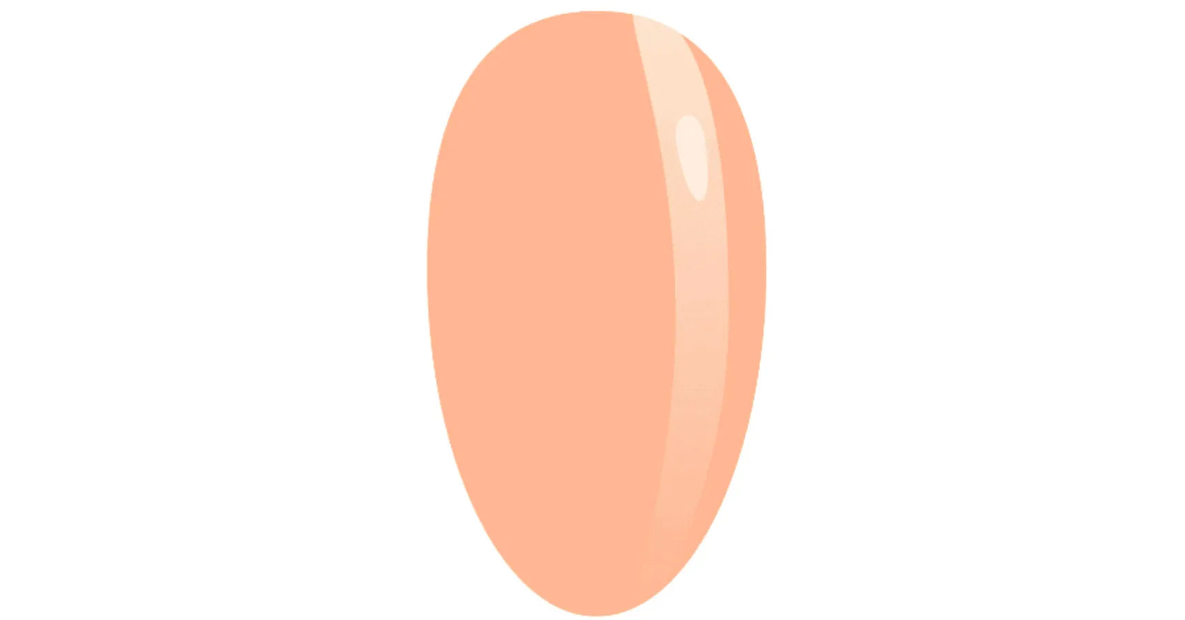 Muse Color Creator Base #20