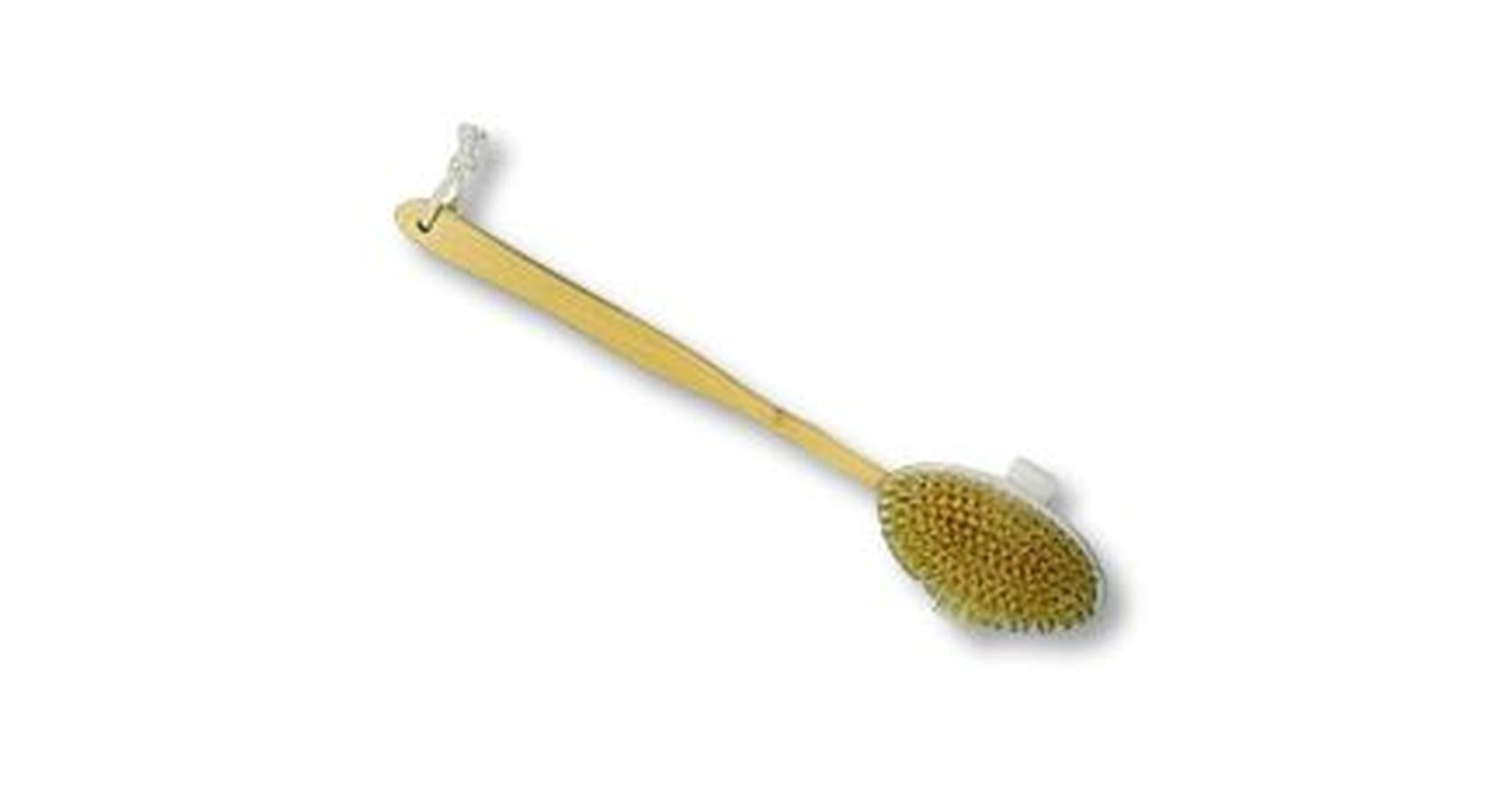 Bath Brush with Long Handle (TI2830)