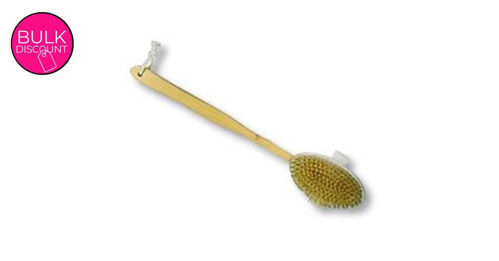Bath Brush with Long Handle (TI2830)