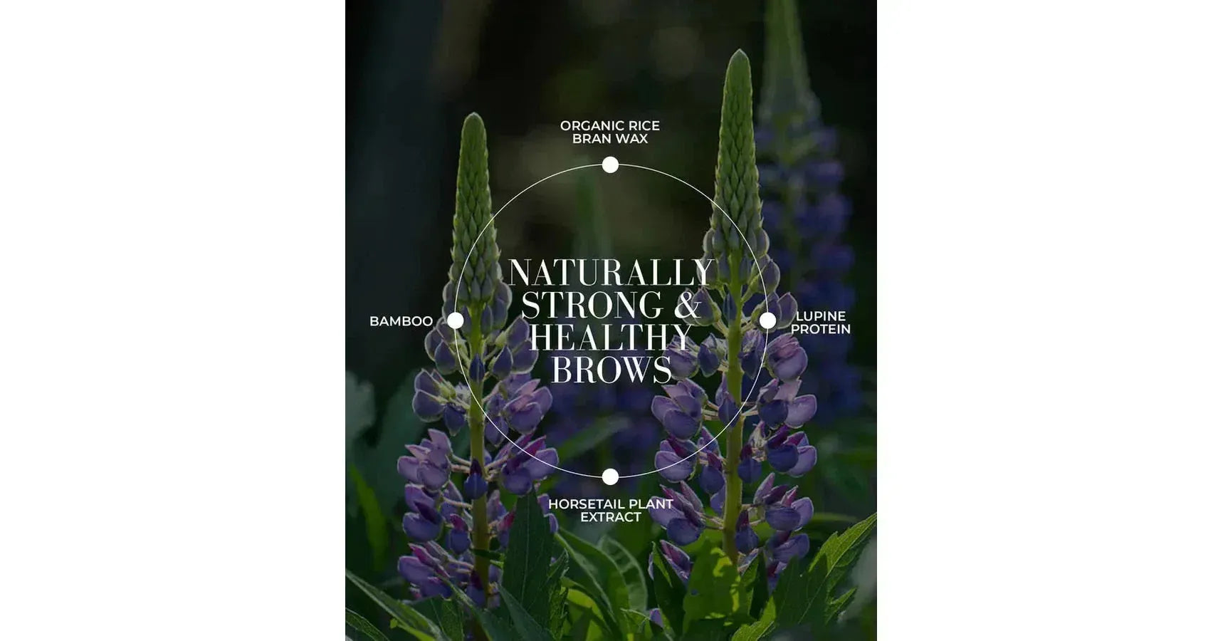 Fitglow Plant Protein Brow Gel - Dark Brown (4g)
